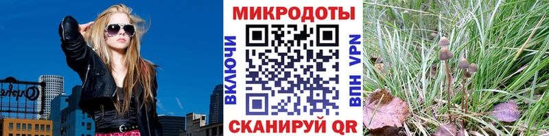 ОМГ ОМГ онион  Туапсе  Галлюциногенные грибы MAGIC MUSHROOMS 