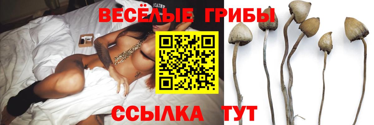 Галлюциногенные грибы прущие грибы Туапсе